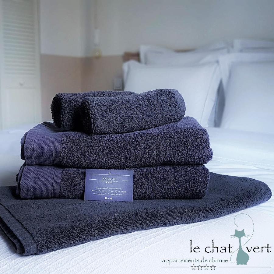 Le Chat Vert - Appartements Adults Only Saint-Andre  Bagian luar foto