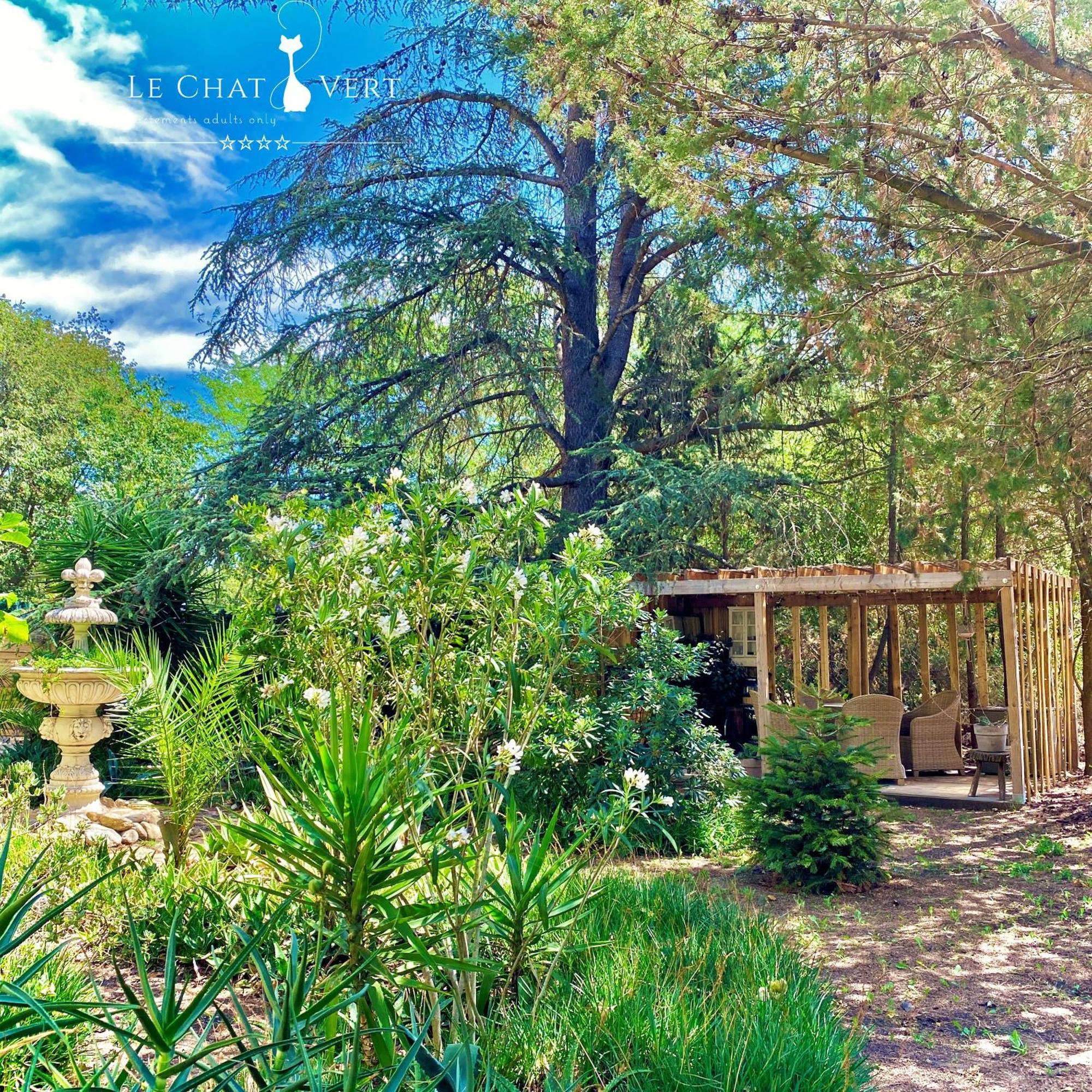 Le Chat Vert - Appartements Adults Only Saint-Andre  Bagian luar foto